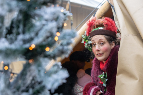 Festive Woodland at Bristol Zoo Project 