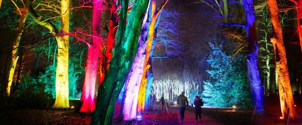 Christmas At Westonbirt