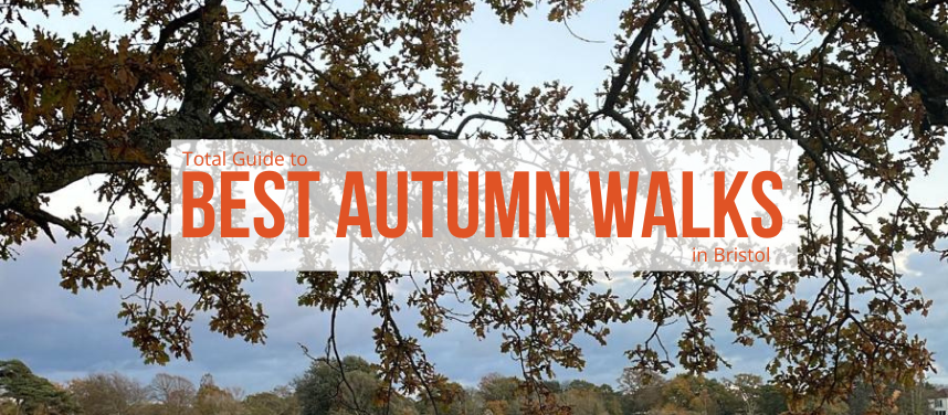 Autumn Walks in & Around Bristol